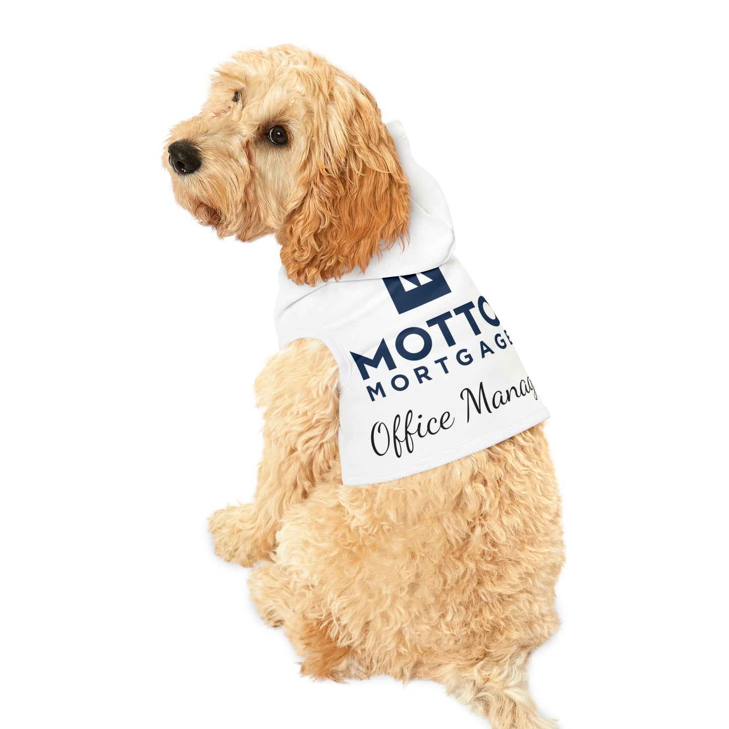 Dog Hoodie